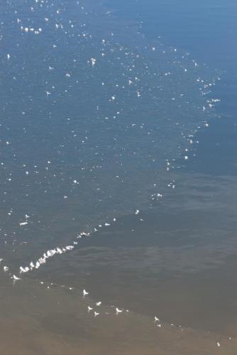 20080217-abstract-Grote-plas-Steenwaard