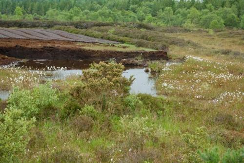 20090626-bog-Derreen-Ierland-turfsteken-2