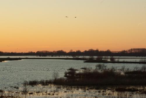 20110116-Hoogwater-Steenwaard