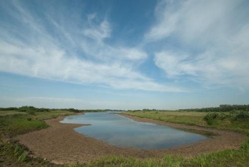 20110508-droogte-Grote-plas-Steenwaard