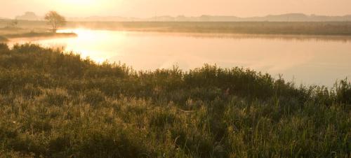 20120909-ochtendnevel-Steenwaard-2