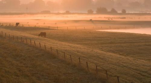 20120909-ochtendnevel-Steenwaard