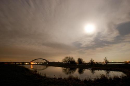 20140316-Poelen-langs-de-Lek-Steenwaard