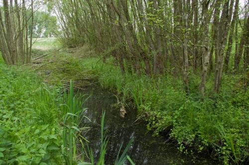 20140506-Spoorsloot-Steenwaard