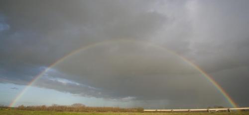 20141210-regenboog-Steenwaard