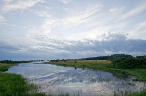 20150717-Grote-plas-Steenwaard