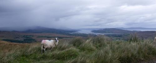 20170916-Beara-Ierland