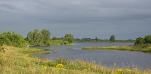 20220710-Grote-plas-Steenwaard