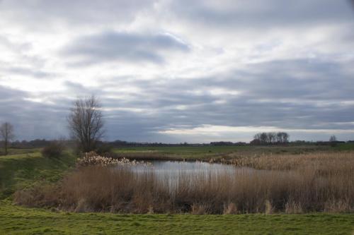 20230303-poel-bij-Puijk-Steenwaard