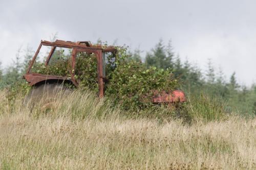 20230729-Ballyfarnan-Ierland-trekker