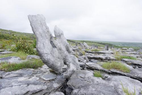 20230731-Ballyvaughan-Burren-Ierland